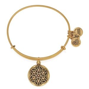 Alex and Ani Endless knot bracelet